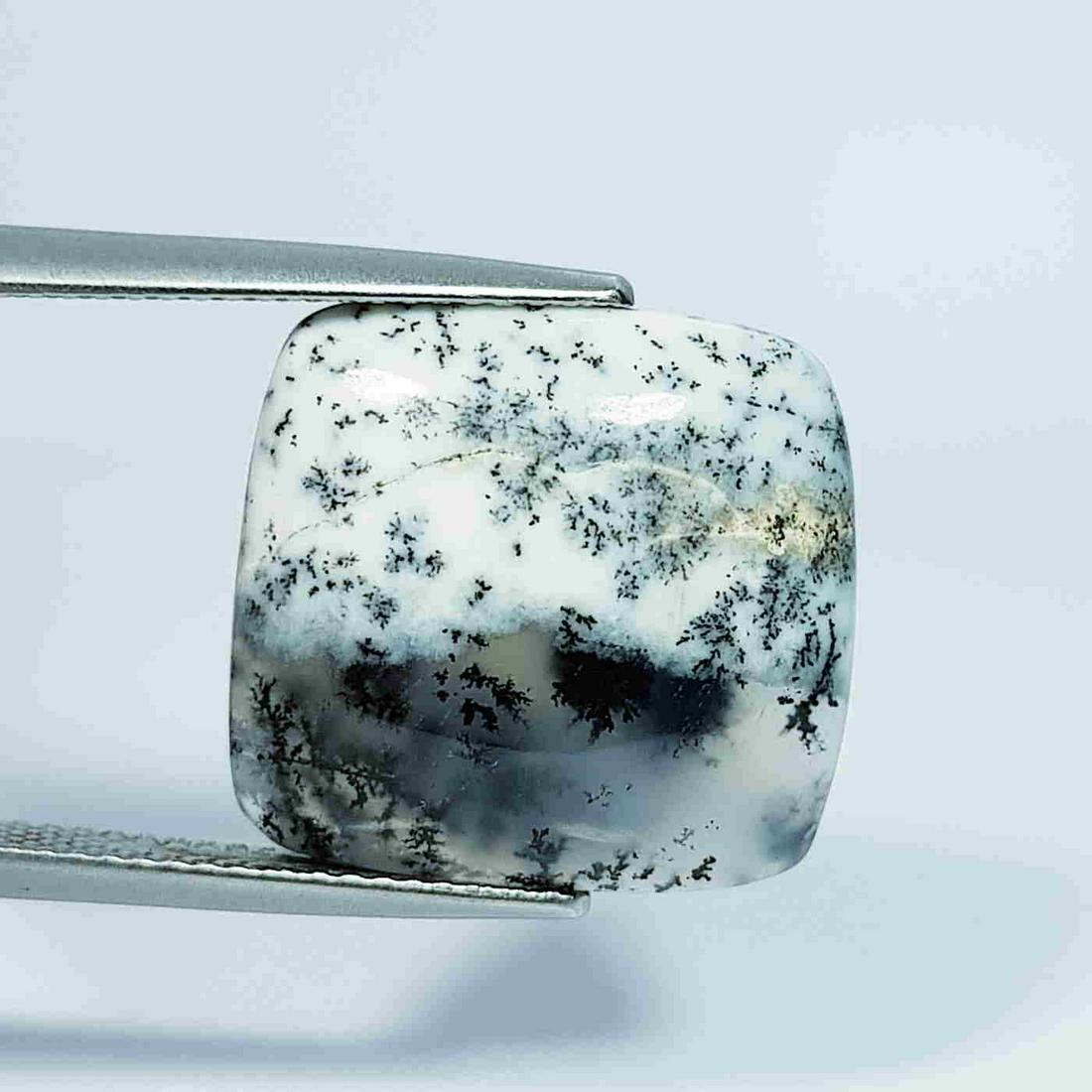 11.07 Ct Natural Dendrite Opal Rectangular Cabochon (1 of 5)