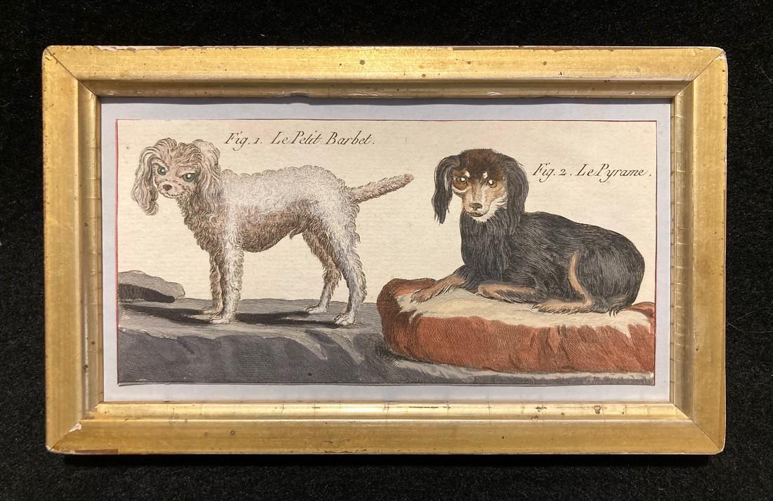 C1800 French Hand Colored Copperplate Dogs Engraving (1 of 4)