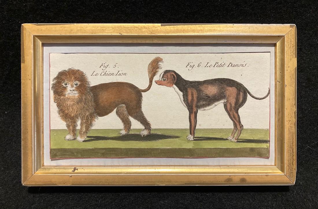 C1800 French Hand Colored Copperplate Engraving (1 of 4)