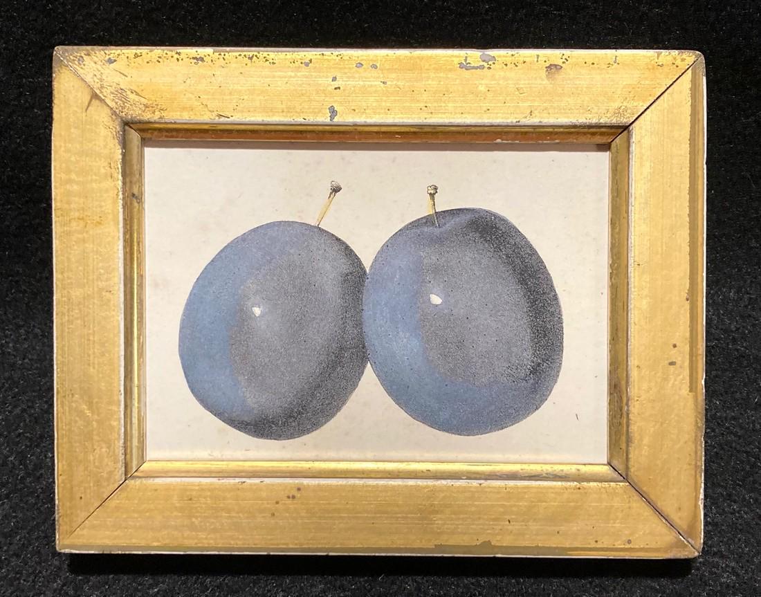 1844 Hand Colored Plums Engraving (1 of 2)