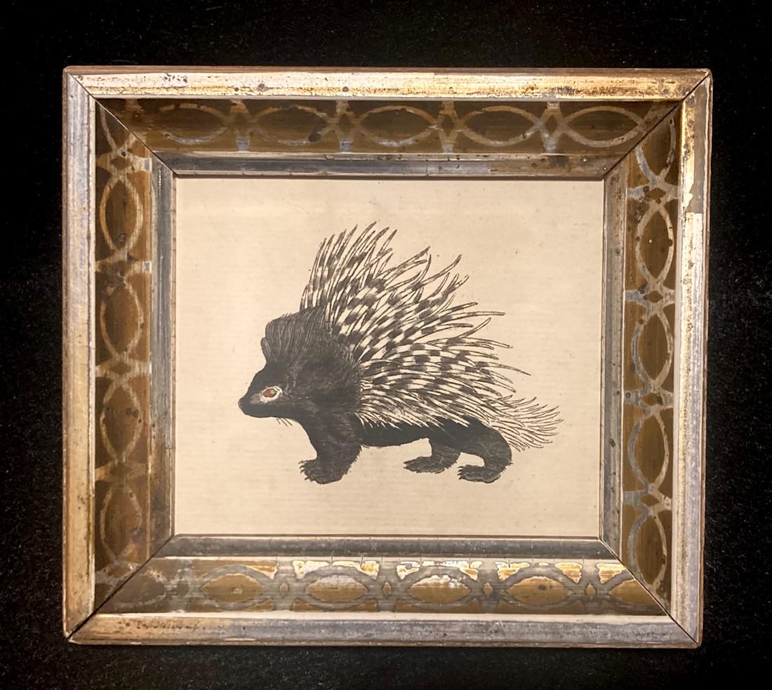 1786 Porcupine Hand Colored Copperplate Engraving (1 of 2)