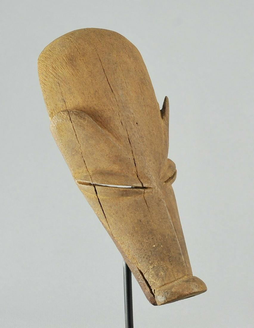 Rare Pig Mask Ngulu TSHOKWE CHOKWE Angola African (1 of 10)