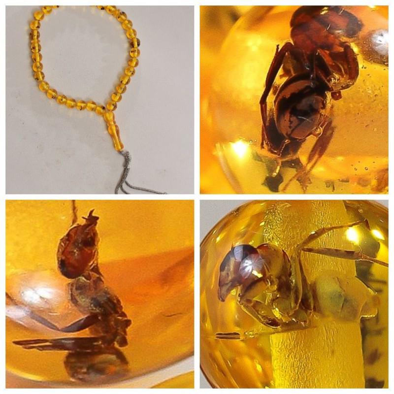 Baltic amber rosary insects inclusion imam mala spider (1 of 20)