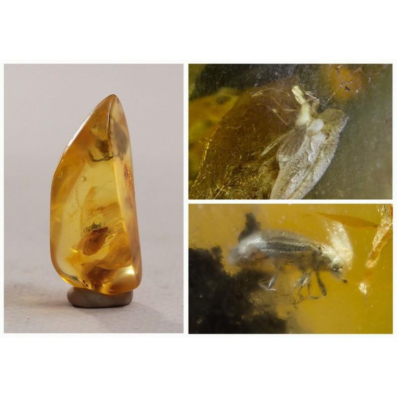 Natural Baltic amber with two inclusions 3,8g (1 of 13)