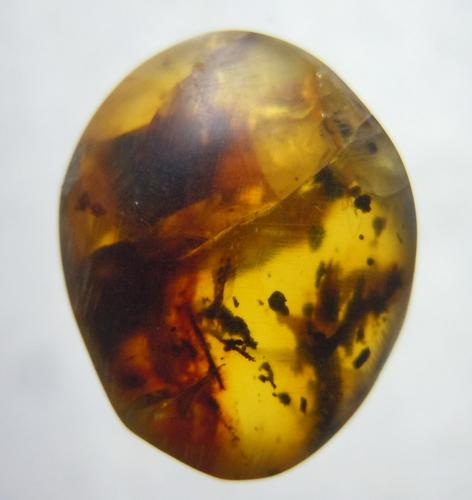 100 MILL YEARS OLD BUMITE AMBER: Title: 100 MILL YEARS OLD BUMITE AMBER Origin: Hukawang Valley, Kachin State, Myanmar Size: 1.4x1.1x0.6 cm/ 0.60 gram honey yellow burmite amber with sone inclusions. natural cracks and slightly chipp