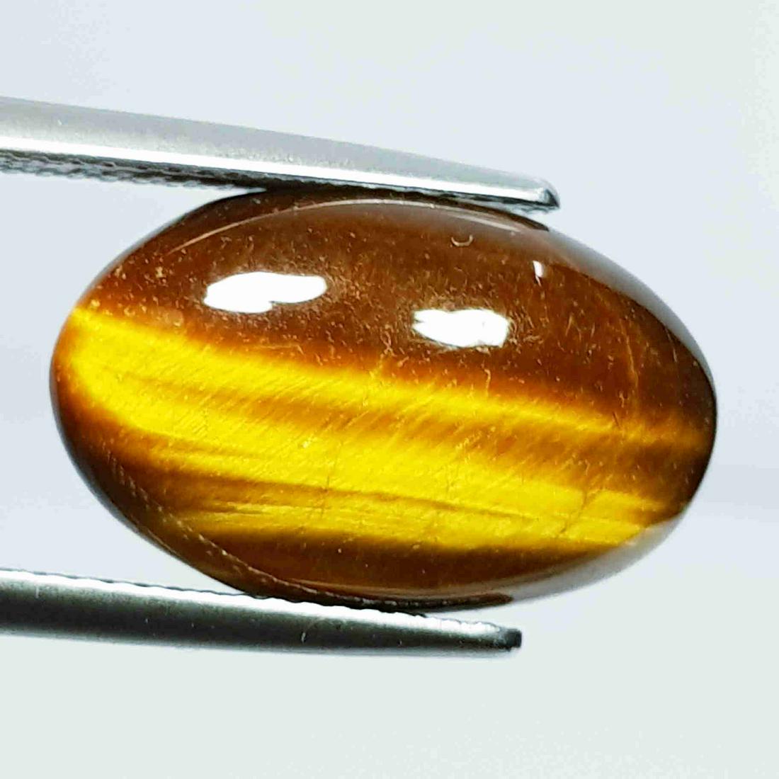 9.18 Ct Natural Tiger Eye Oval Cabochon (1 of 5)