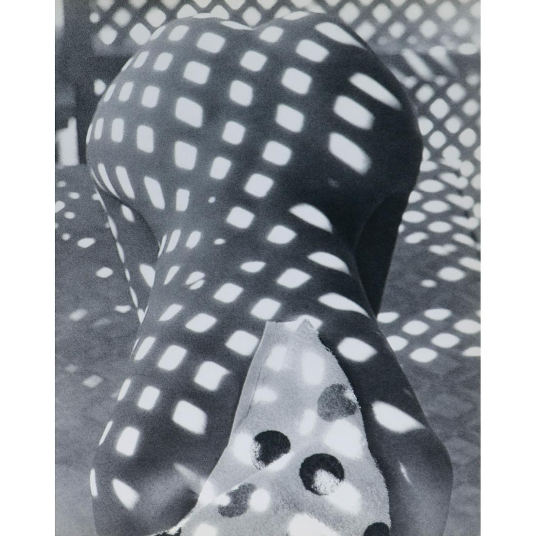 JOHN RAWLINGS - Nude in Shadows - Betty Biehn: Artist: JOHN RAWLINGS Print Title: Nude in Shadows - Betty Biehn Medium: Sheet-fed Gravure Printing Date: 1960's Printed in Switzerland Image Size approx: 11.5 x 9 inches John Rawlings (1912-1970) was