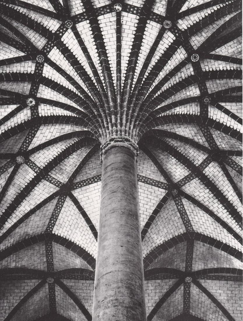 JEAN DIEUZAIDE - Le palmier des Jacobins, 1953 (1 of 1)