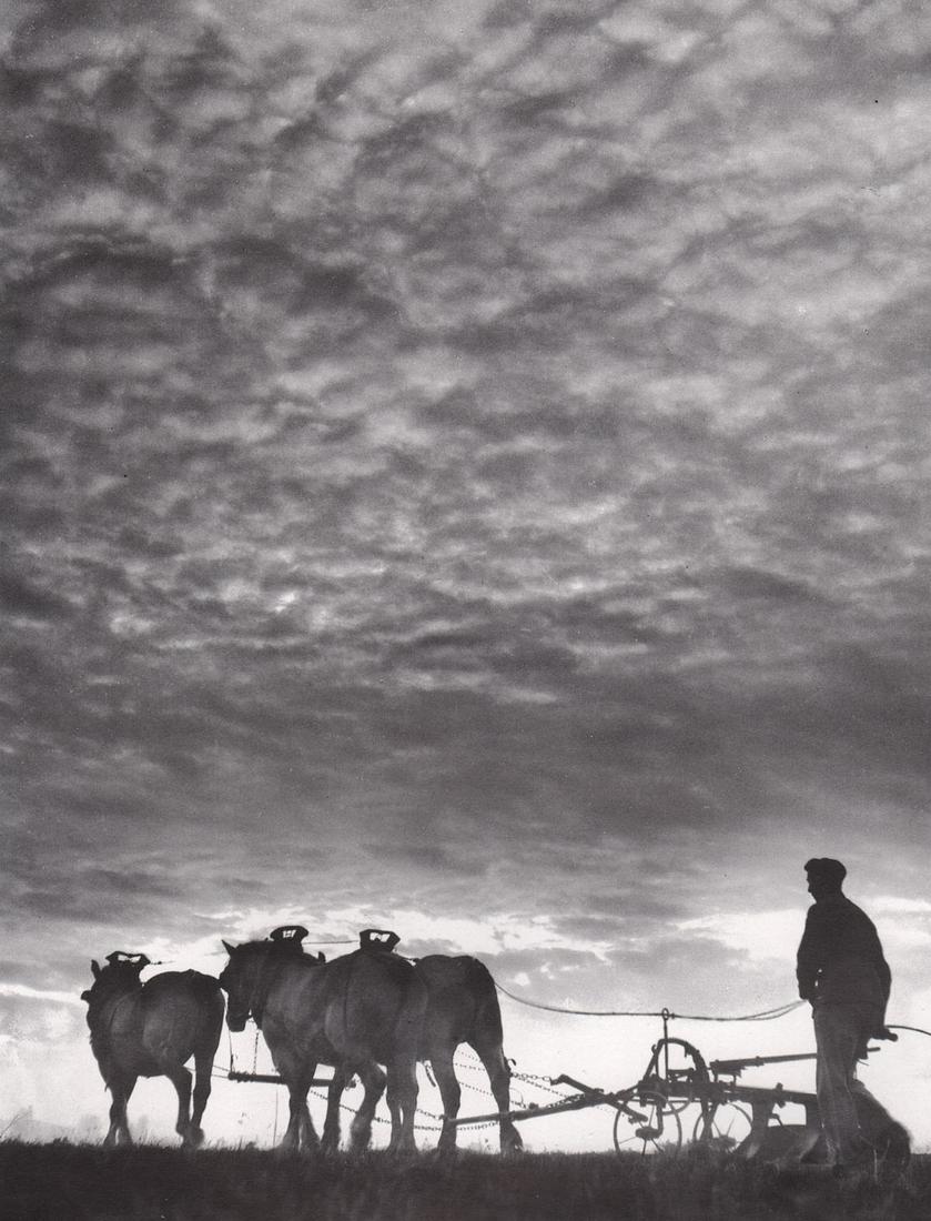 JEAN DIEUZAIDE - Le Labour, 1953 (1 of 1)