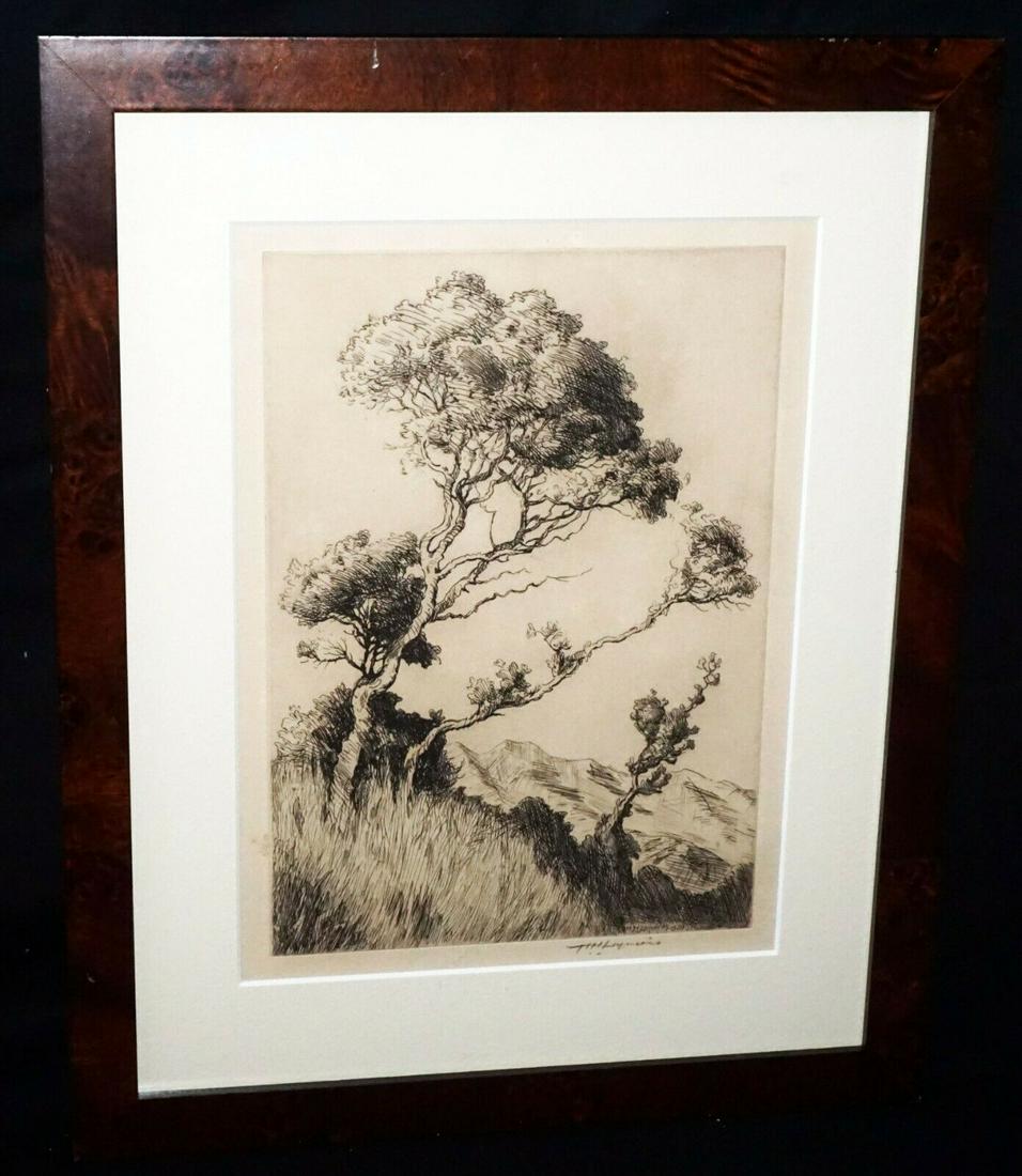 1929 Hawaii Framed Etching Print Lehua Huc M Luquiens (1 of 7)
