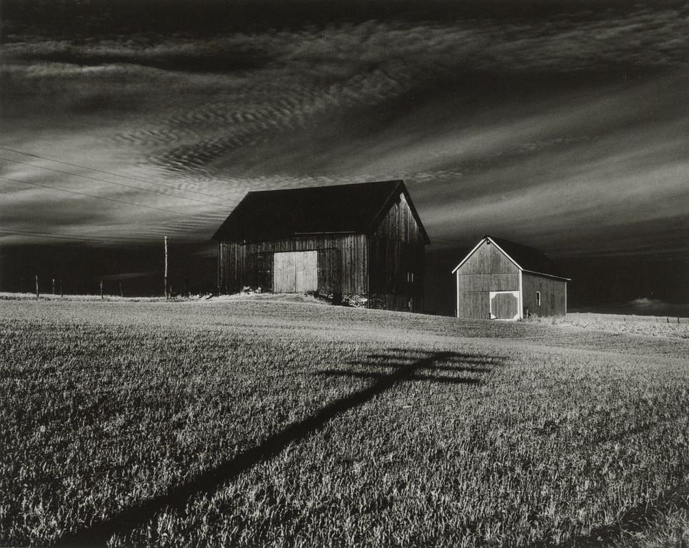 MINOR WHITE - Vicinity of Dansville, New York, 1955 (1 of 1)