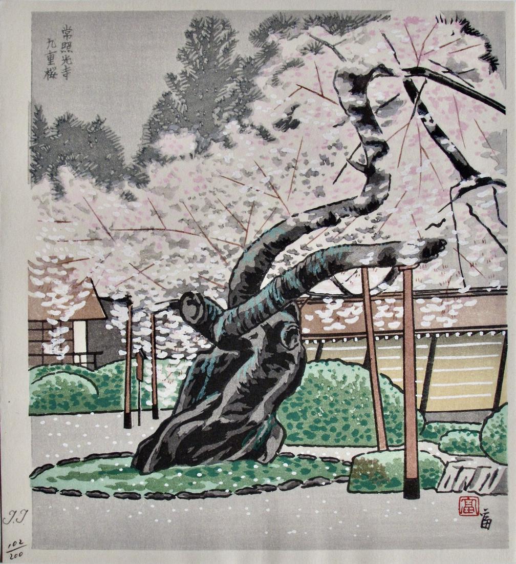 Tokuriki: Old Flowering Cherry Tree: Artist: Tomikichirô TOKURIKI (1902-1999) Subject: Old Flowering Cherry Tree Publisher: Self, limited edition 102/200 Signature: T.T. in pencil, Tomi with seal Date: 1970s Format: shikishiban, 26.6 x 