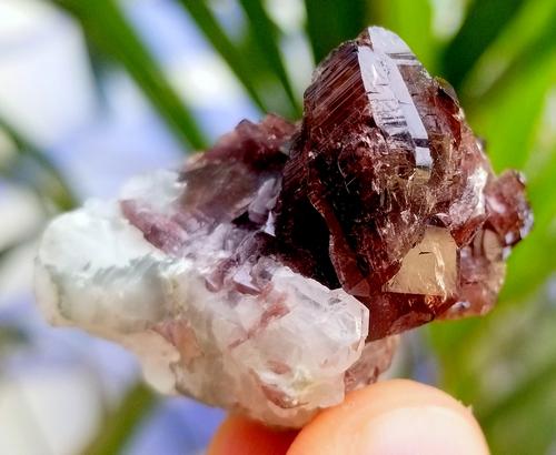 21 Gram Beautiful Axanite Crystals Specimen From Skardu (1 of 8)