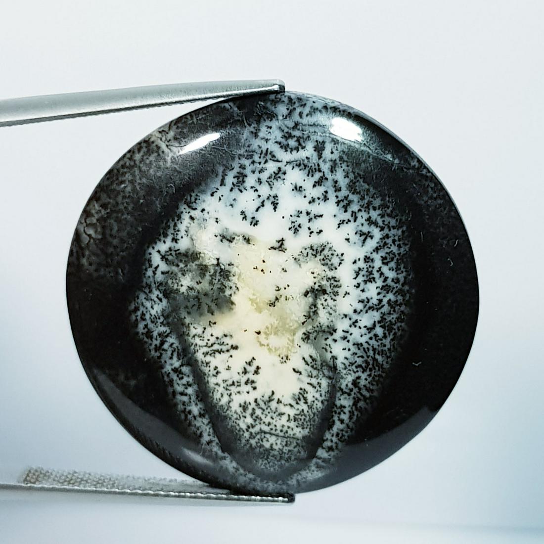 Natural Dendrite Opal Round Cabochon 35.55 Ct (1 of 5)