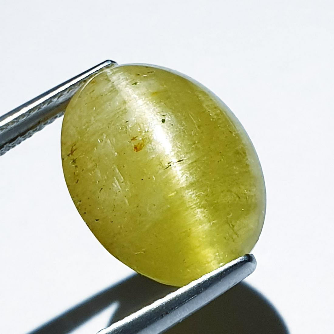 13.87 ct Natural Apatite cat's Eye: No Reserve! Title: 13.87 ct Natural Apatite cat's Eye Color/Clarity:Semi Transparent Carat Weight: 13.87 Size/Dimensions: 16.50 x 12.50 x 8.00 Additional Information: Oval - Africa Shipping: Domesti