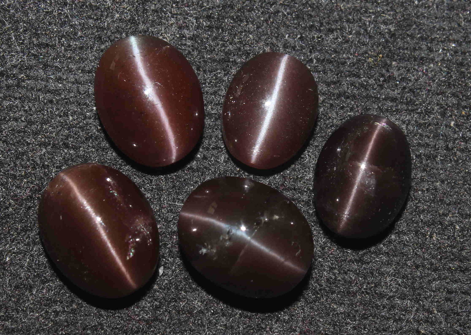 14.55 Ct Natural Spectrolite Cat's Eye Lot: No Reserve! Gemstone : Natural Spectrolite Cat's EyeWeight : 14.55 CaratsDimensions : 10.6x8.9x4.4 mm - 7.7x6.2x4.3 mmShape : Oval Cabochon Number of Stone : 5Origin : AfricaTreatment : No Treatment S