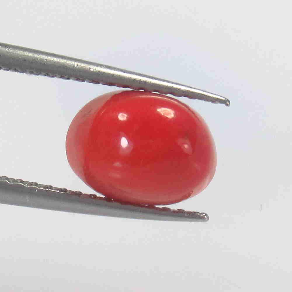 2.22 Ctw Natural Italian Red Coral Oval Cab (1 of 2)