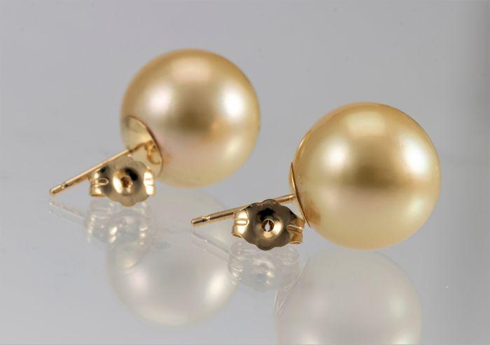 13x14mm Round Golden South Sea Pearls - 14 kt. Yellow (1 of 7)