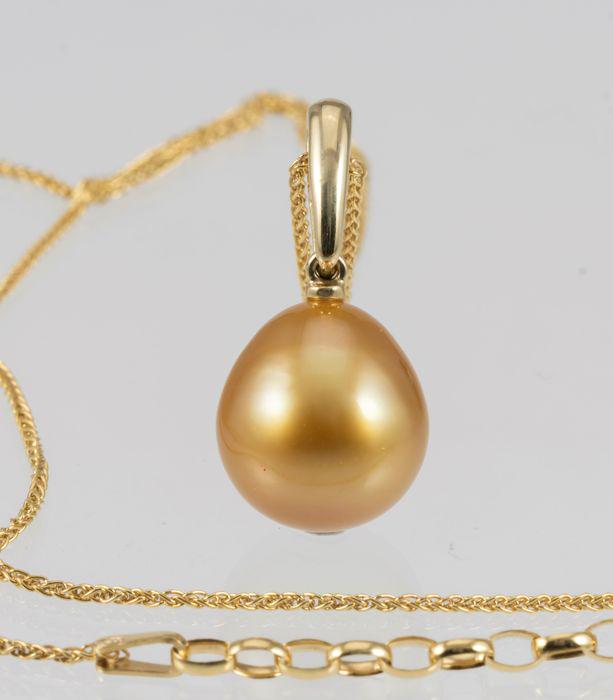 11x12mm Deep Golden South Sea Pearl Drop - 14 kt. (1 of 7)