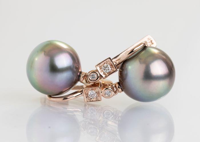 14 kt. Rose Gold - 10x11mm Peacock Tahitian Pearl Drops: Title: 14 kt. Rose Gold - 10x11mm Peacock Tahitian Pearl Drops - Earrings - 0.07 ct Description: Produced by the Pinctada Margaritifera oyster in the tropical lagoons of French Polynesia, these pearls