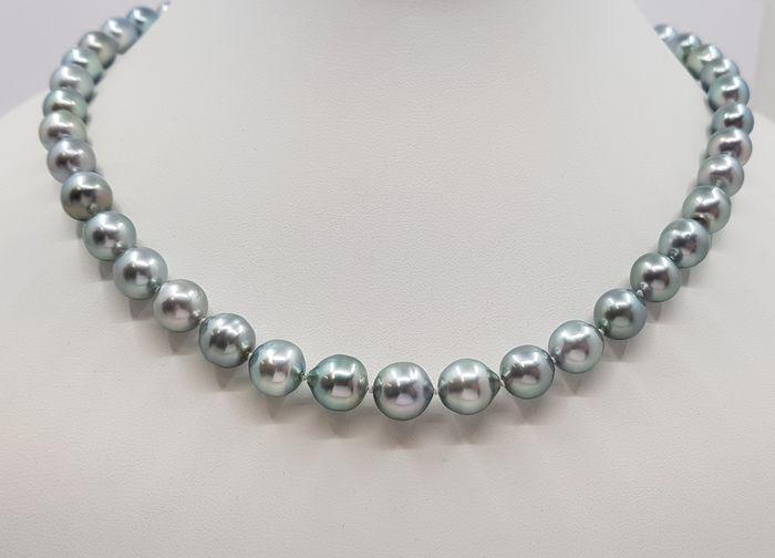 8x10.2mm Silvery Green Tahitian Pearls - 14 kt. White: Title: 8x10.2mm Silvery Green Tahitian Pearls - 14 kt. White gold - Necklace Description: Tahitian pearls are cultured in the warm ocean waters of the eastern South Pacific, mainly in the archipelagos