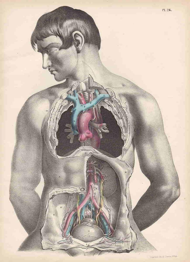 Vintage medical engraving, Maclise 1870 (1 of 4)