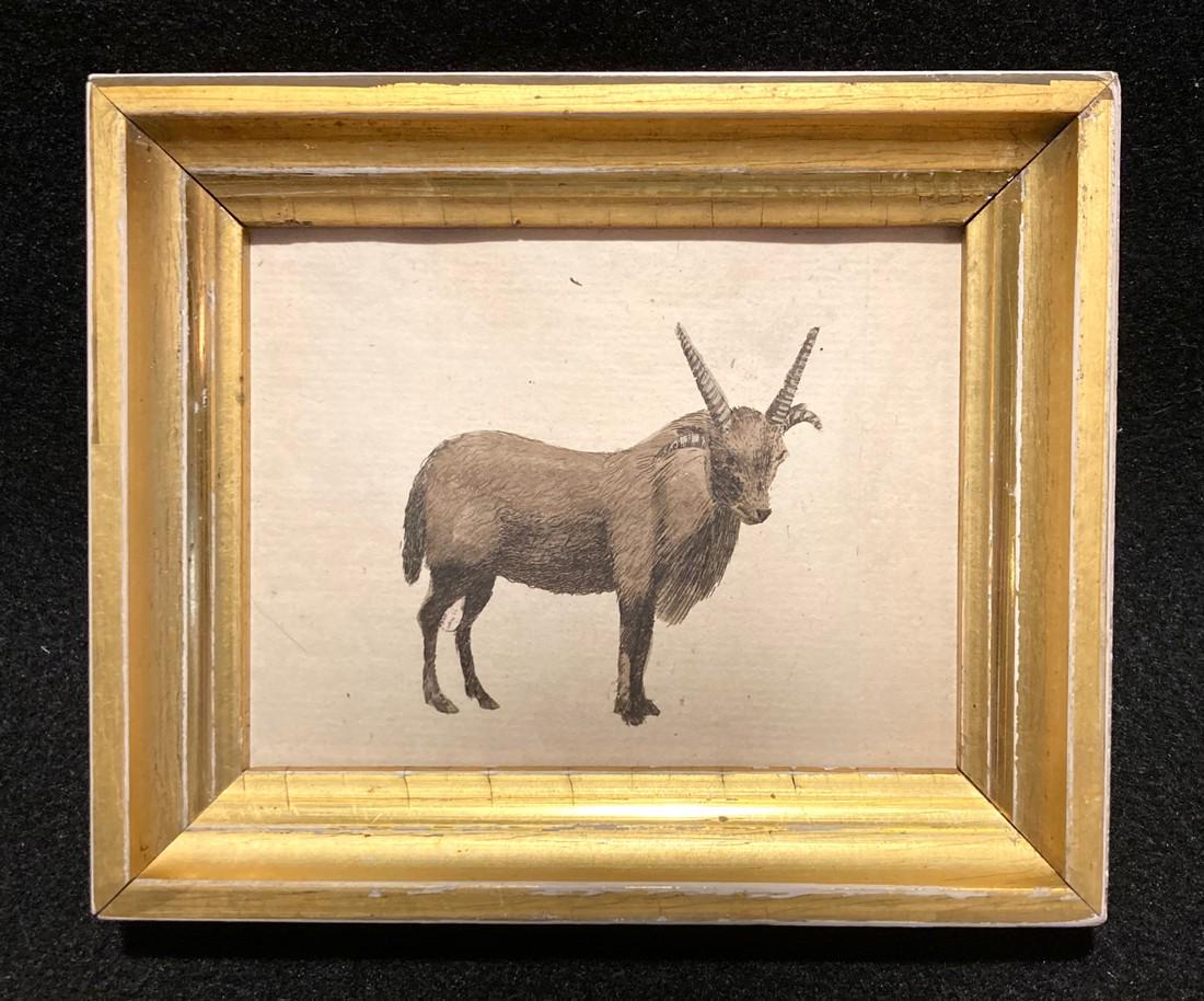 1786 Hand Colored Copperplate Engraving Of A Goat (1 of 2)