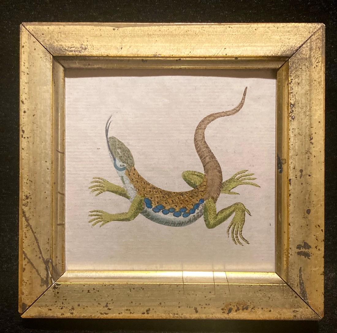 1786 Hand Colored Copperplate Engraving (1 of 2)