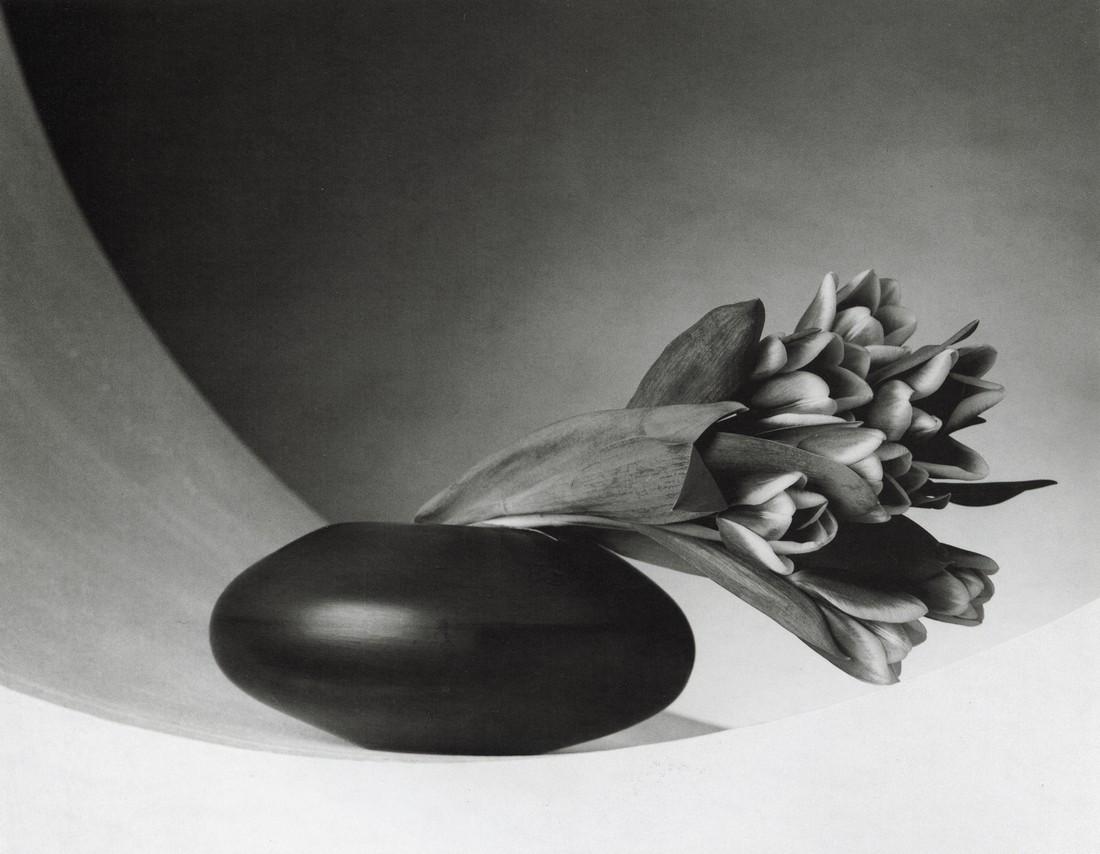ROBERT MAPPLETHORPE - Tulips, 1987 (1 of 1)