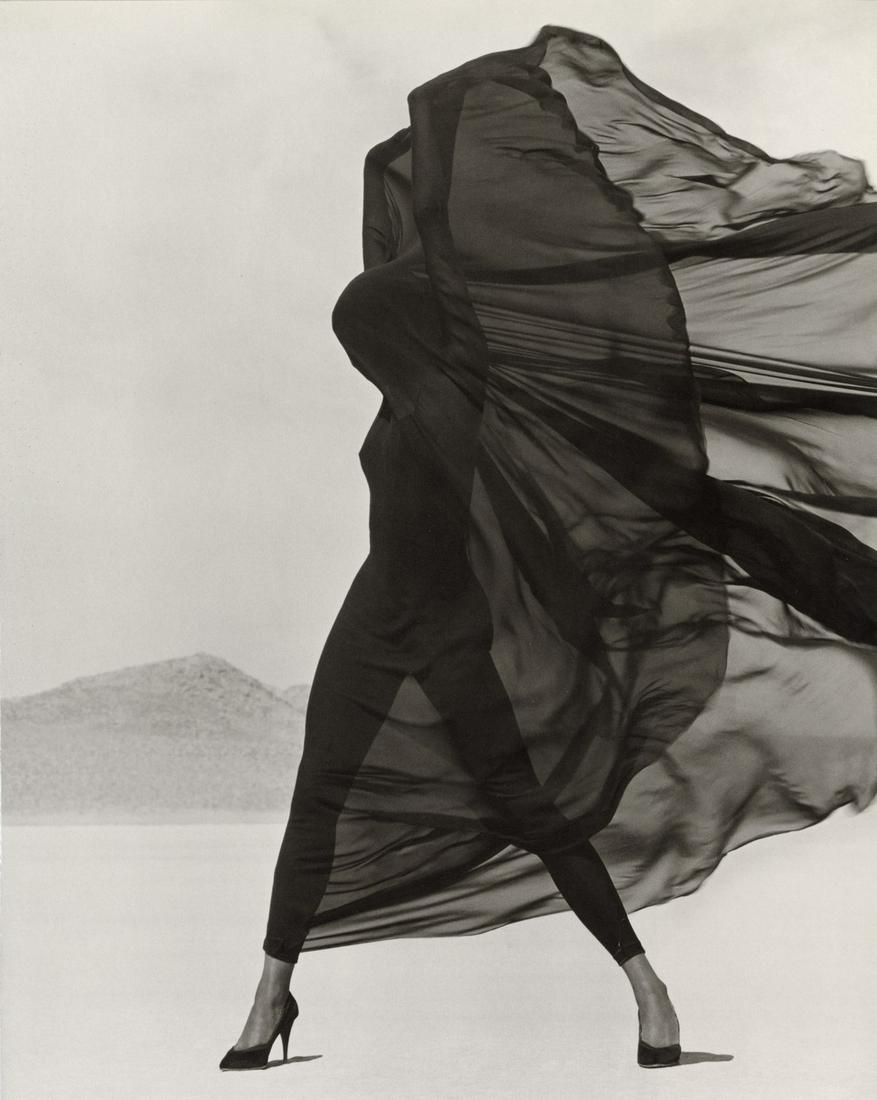 HERB RITTS - Versace, Veiled Dress, El Mirage, 1990: Artist: Herb Ritts Title: Versace, Veiled Dress, El Mirage, 1990 Medium: Photo Litho, 1996, USA Dimensions: 11.1x13.9" Additional Information: Heat Wax Mounted on 14x18" Conservation Board Artist Bio: