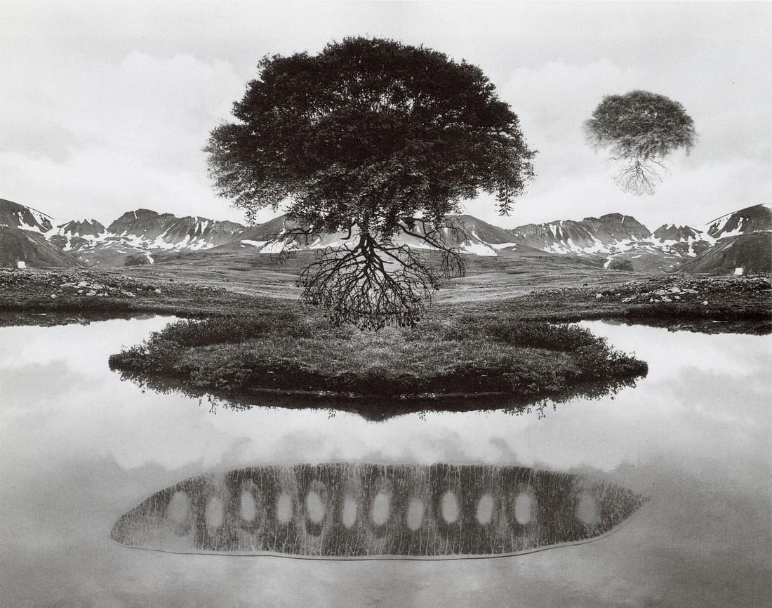 JERRY UELSMANN - Floating Tree, 1969 (1 of 1)