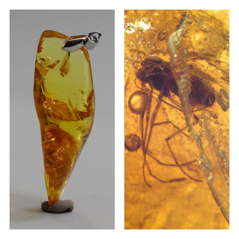 100% Natural Baltic amber pendant inclusion insects: Unique amber piece with insect (inclusion) which is 45-50 million years old. Collectible piece!. Faceted and polished Baltic amber stone. Pendant shape. Weight: 9.8 gram Inclusion: Fly (Diptera) Age: 