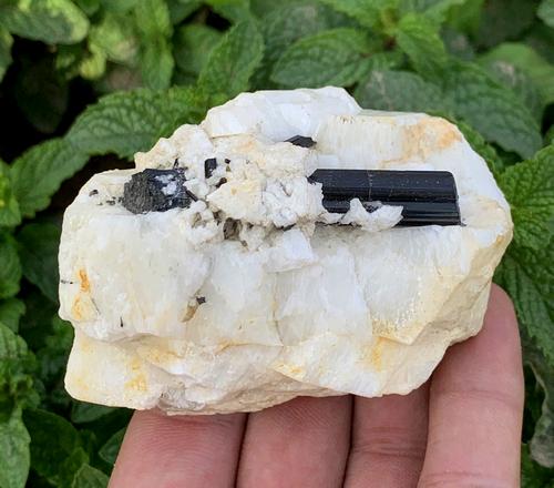 138 Gram Amazing Natural Tourmaline On Feldspar (1 of 3)