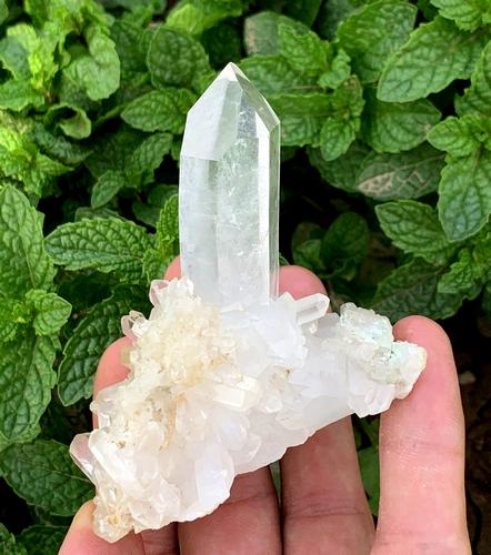 119 Gram Beautiful Clear Natural Quartz Specimen (1 of 5)