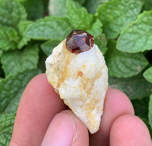 8 Gram Beautiful Natural Garnet Specimen (1 of 4)