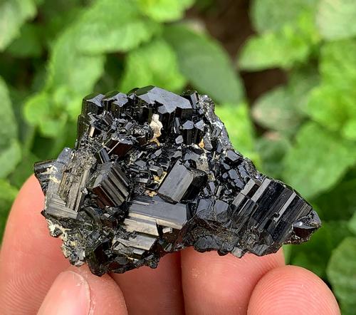 15 Gram Well Terminated Natural Tourmaline Specimen: Title: 15 Gram Well Terminated Natural Tourmaline Specimen Treatment: Natural Weight: 15 Gram Size/Dimensions: 39x24x16 mm Origin: Pakistan Reserve: $10.00 Shipping: Domestic: Flat-rate of $15.00 to a