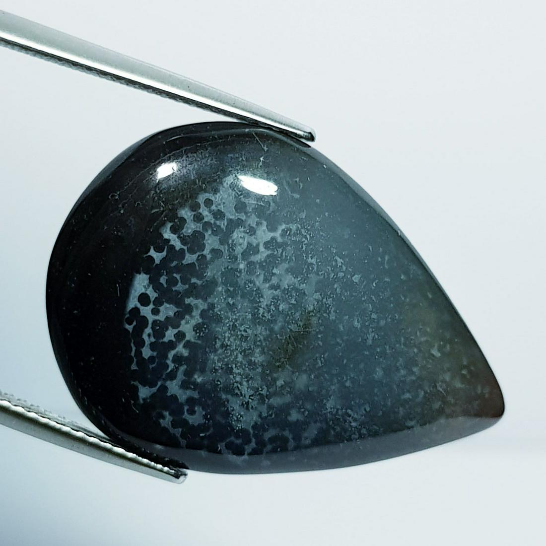 Natural Dendrite Opal Pear Cabochon 24.67 Ct (1 of 4)