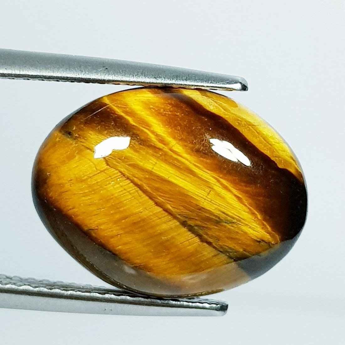 9.78 ct Natural Tiger Eye (1 of 4)