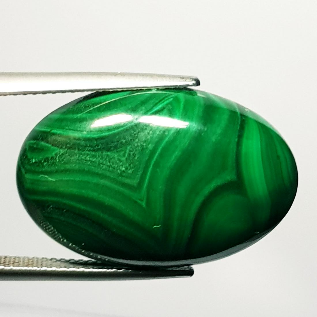 38.40 ct Natural Malachite: No Reserve! Title: 38.40 ct Natural Malachite Color/Clarity: Opaque Carat Weight: 38.4 Dimensions: 26.20 x 17.30 x 7.10 Additional Information: Oval - USA/Egypt Shipping: Domestic: Flat-rate of $7.00