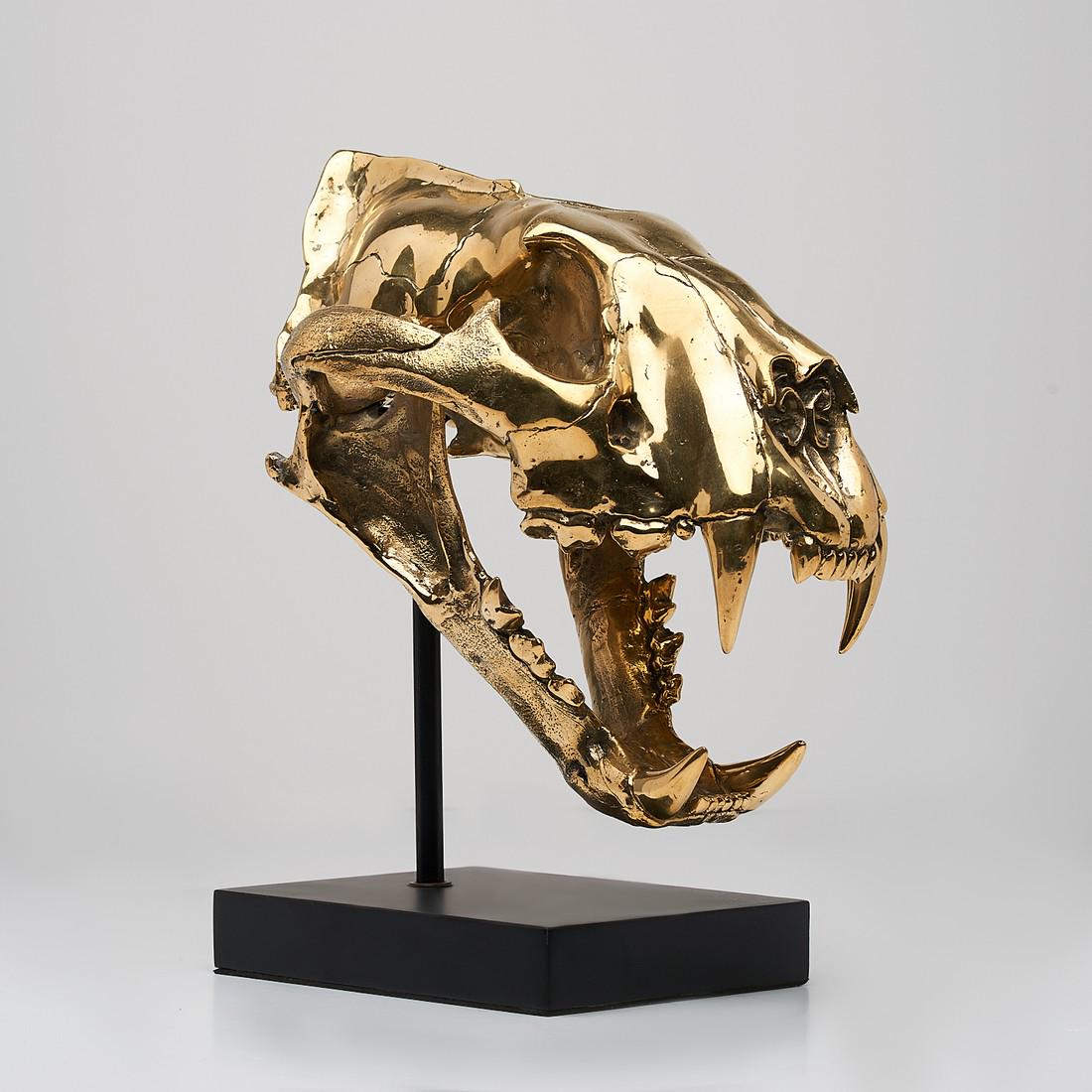 High quality, bronze-cast Sumatran Tiger skull - (1 of 9)