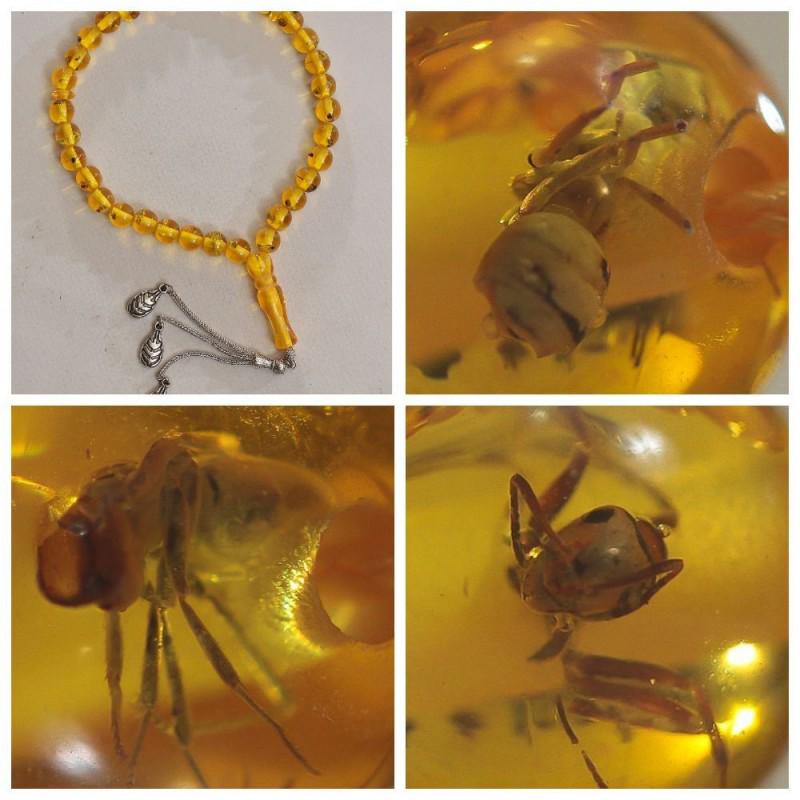 Baltic amber rosary insects inclusion imam mala spider (1 of 20)
