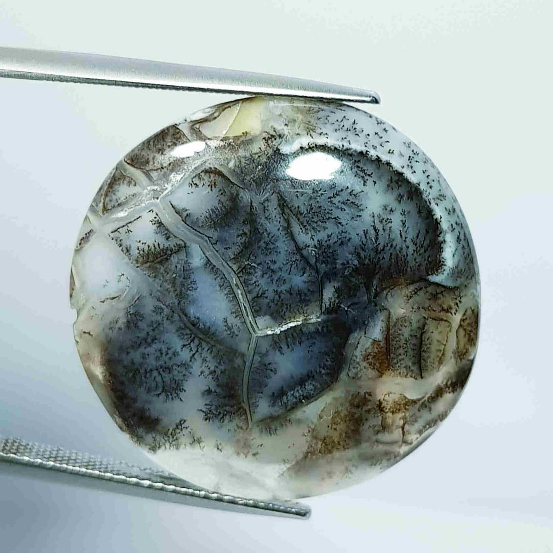 Natural Dendrite Opal Round Cabochon 32.12 Ct (1 of 4)