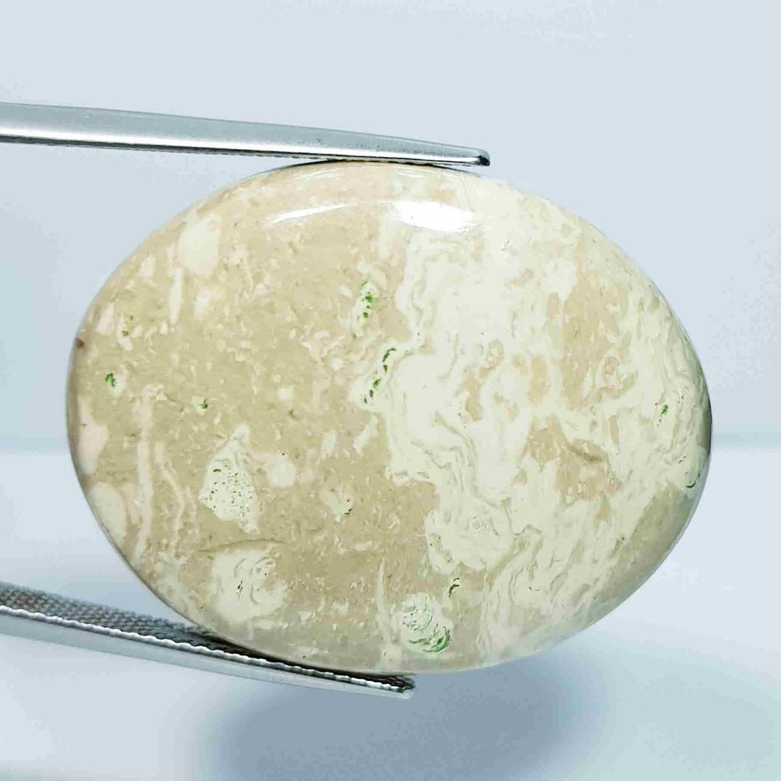 48.98 ct Natural Howlite (1 of 5)