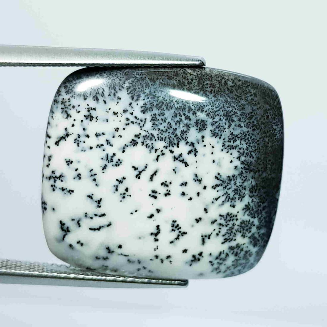 Natural Dendrite Opal Rectangular Cabochon 16.45 Ct (1 of 5)