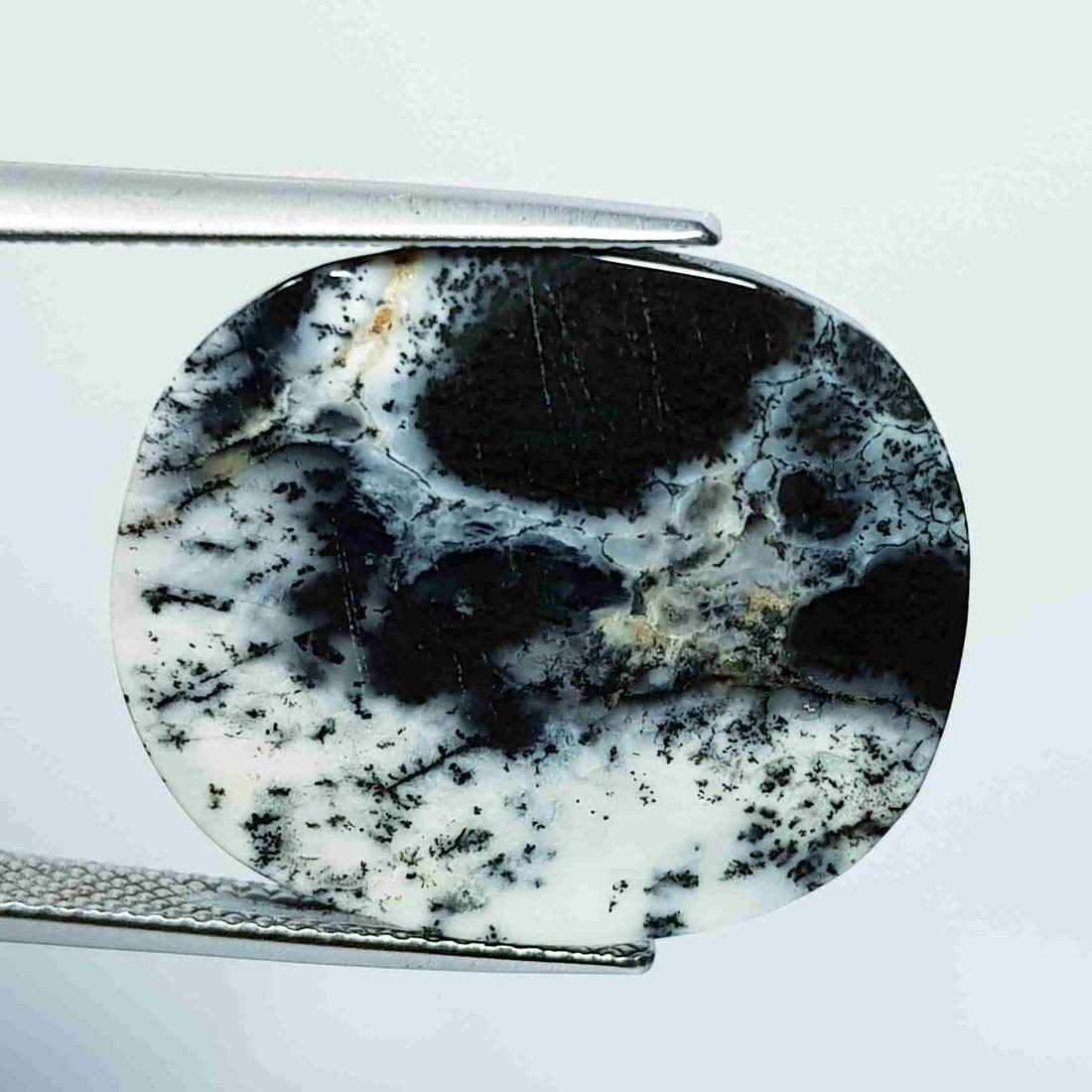 Natural Dendrite Opal Oval Cabochon 21.75 Ct (1 of 5)