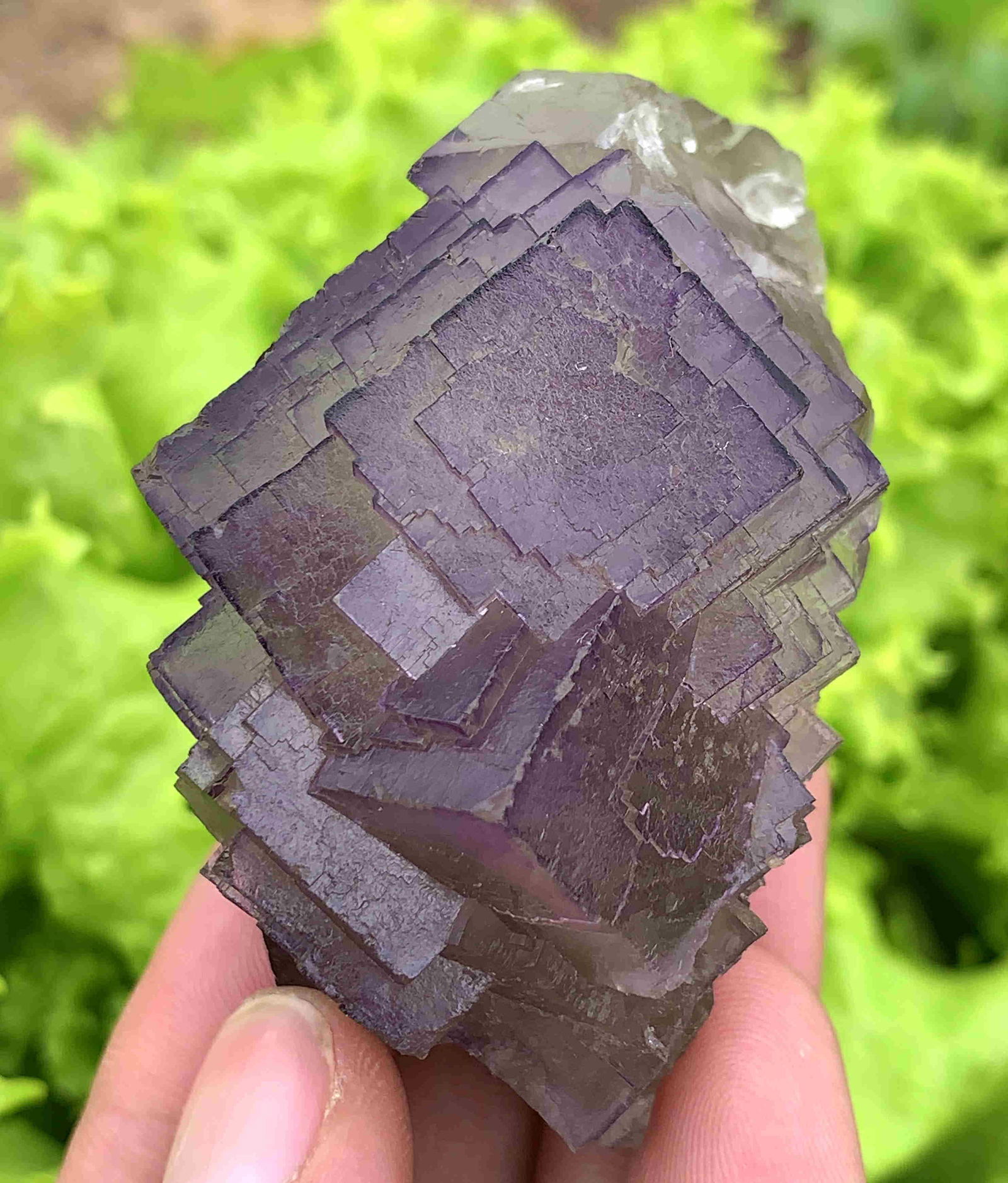 148 Gram Well Terminated Natural Fluorite Specimen (1 of 6)