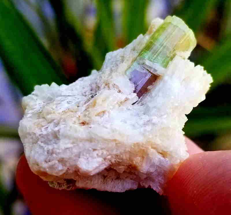 28 Gram Beautiful Bi Colour Tourmaline Crystal From (1 of 10)