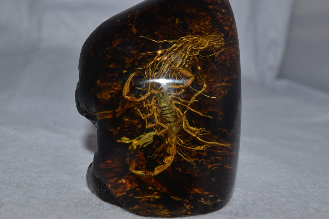 3 1/2" Excellent Reproduction Resin/Amber with Scorpion (1 of 4)
