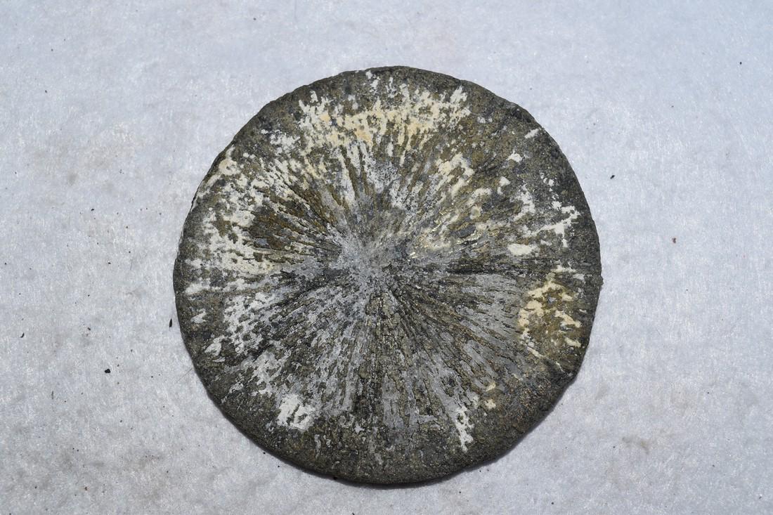 2 3/4" Pyrite Sun Disk from Sparta, IL (1 of 4)