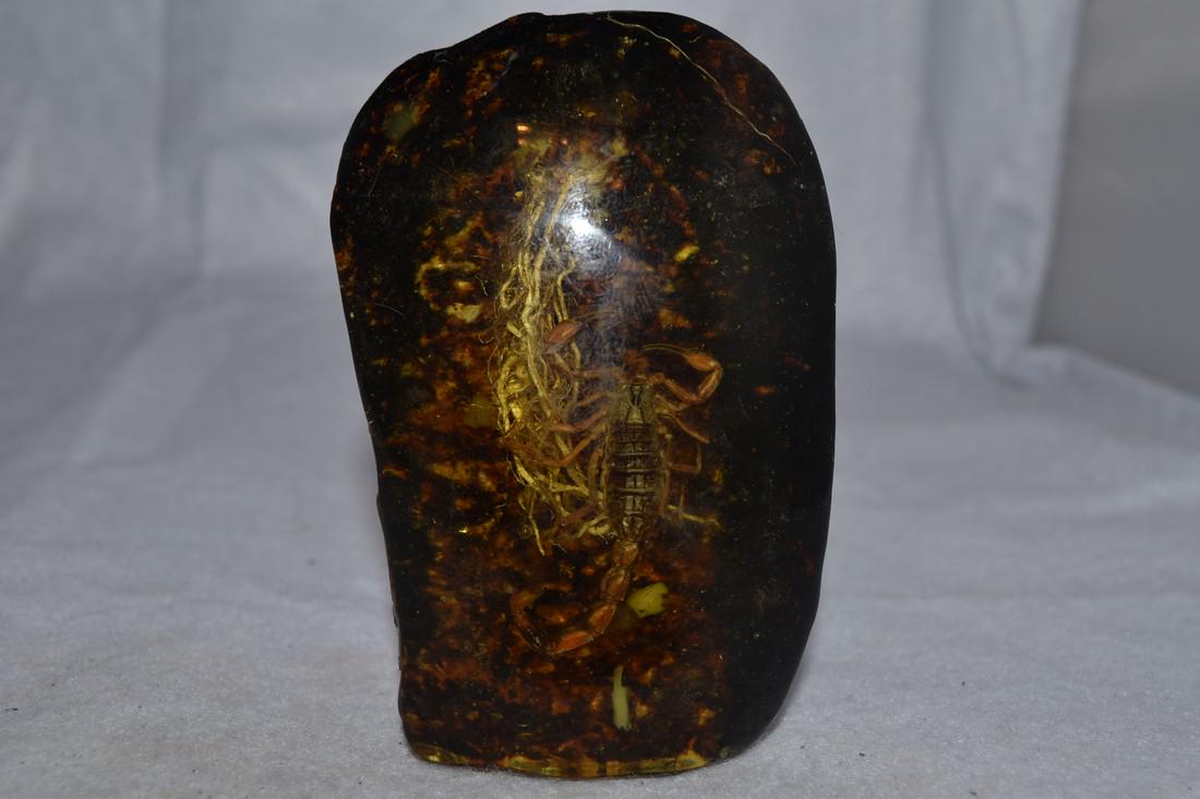 3 3/4" Reproduction Resin/Amber Stone with Scorpion (1 of 4)